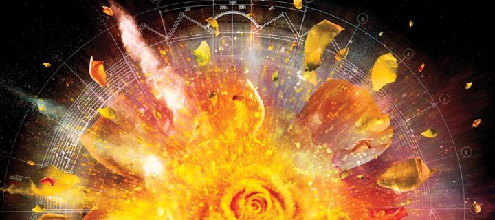 International Festival 2017 Bloom