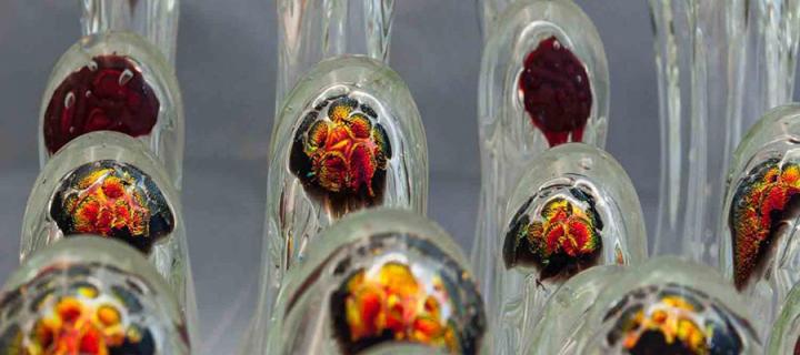 Glass created to look like cells