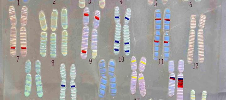 Glass lab image of cells
