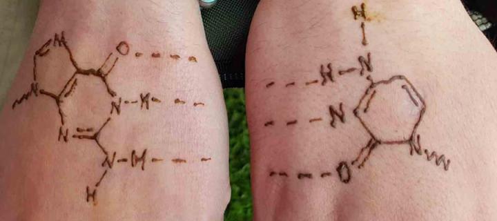 Two hands with henna tattoos of cellulat structures