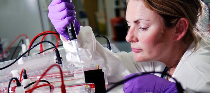 Lab worker loading gel