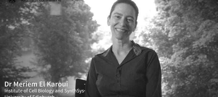 Career Coaching - Meriem El Karoui