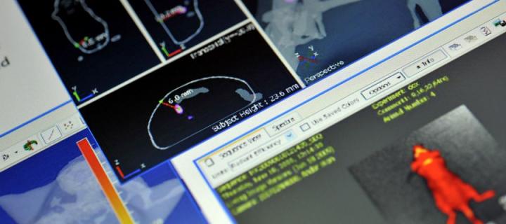 Optimising animal studies