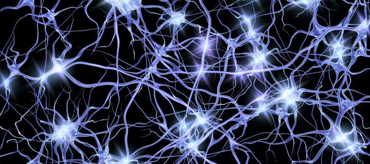 Computer artwork of nerve cells or neurons firing.