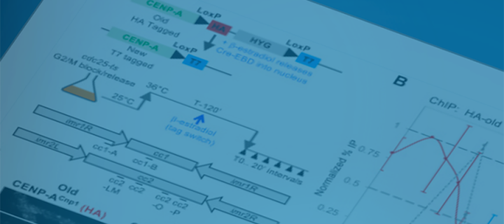 Photo of a portion of a research paper