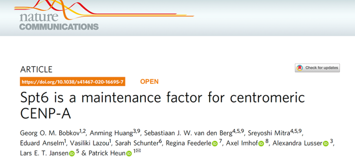 Screenshot of a lab group publication