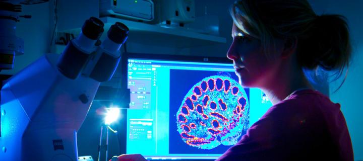 Institute for Regeneration and Repair | The University of Edinburgh