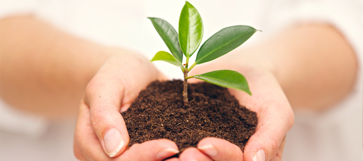 Personal Development courses