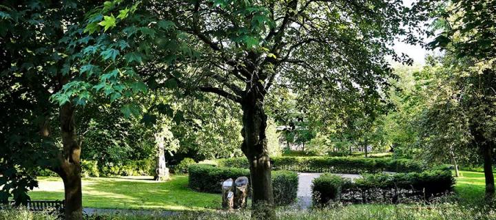 Photo of George Square gardens