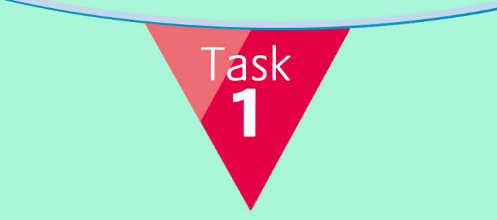 Task 1