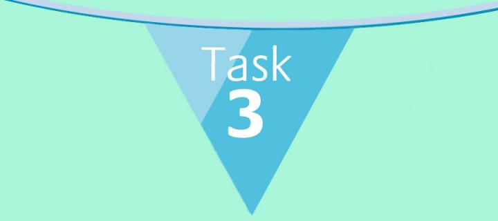 Task 3