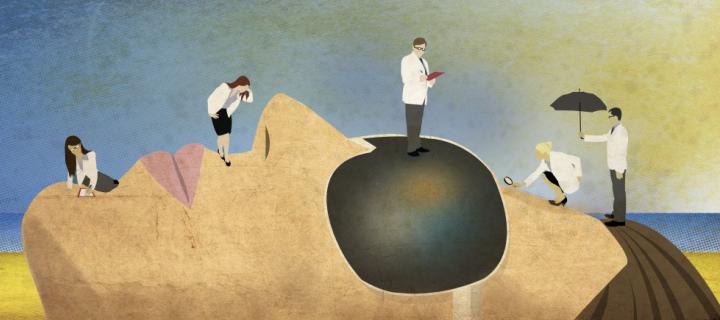 Thomas Shek illustration