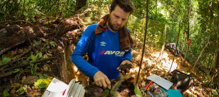 Warming threatens carbon in tropical forest soils | The University of ...