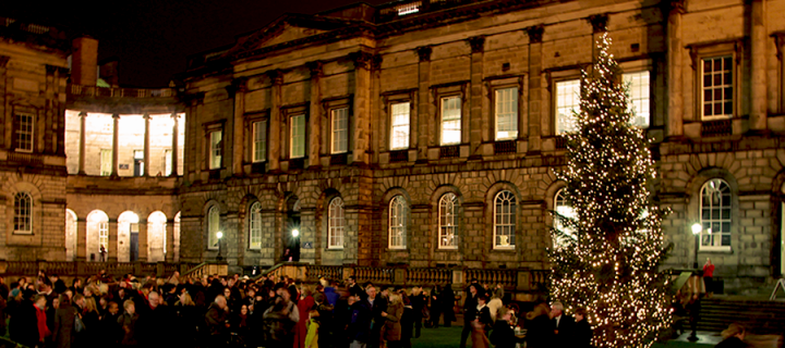 Old College Quad Christmas tree