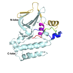 images for Akiyoshi Lab Paper June 2024