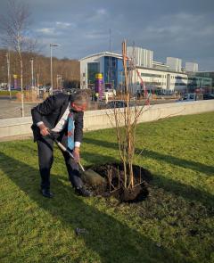 Image of Professor Peter Mathieson planting a tree in honour of the Queen’s Green Canopy