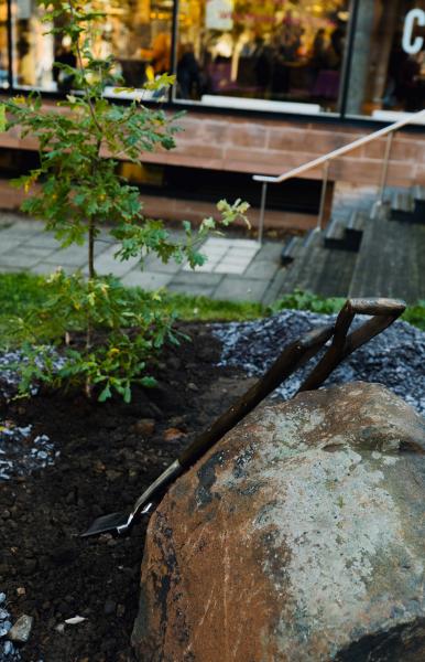 SGA50 Beuys oak planting ceremony, Edinburgh College of Art, 15 October 2021