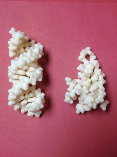 Photo of 3D printed protein structures