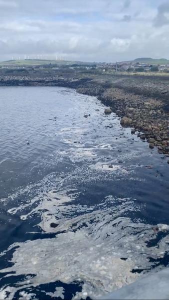 rocky beach with sea and birds