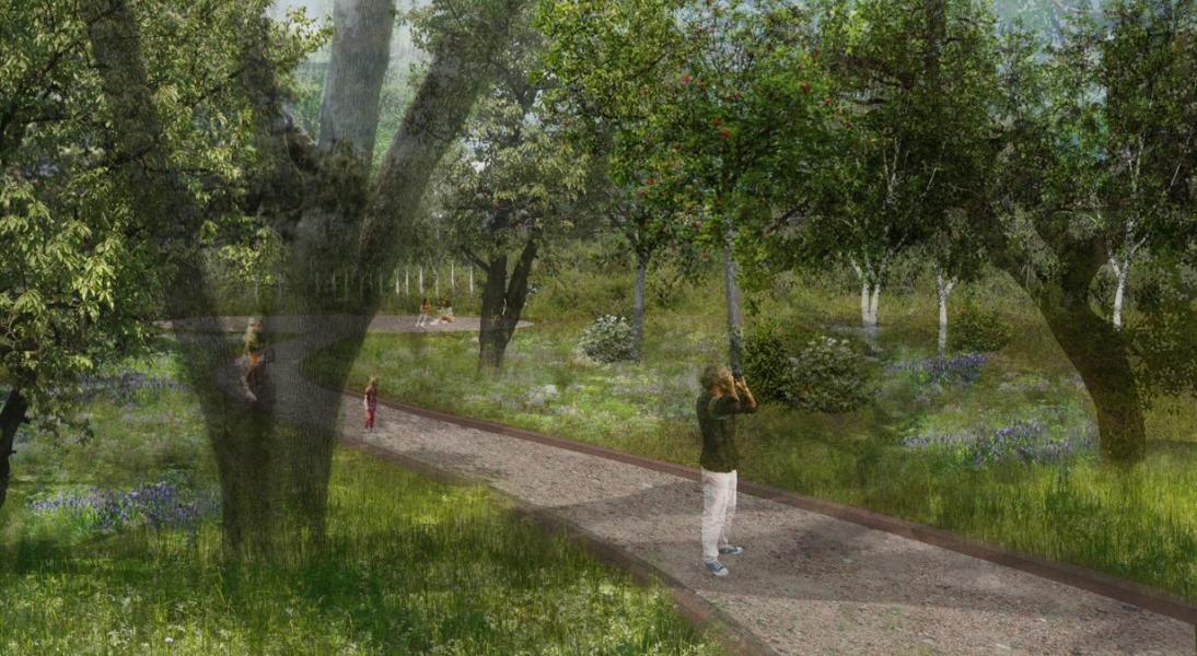 Nikki Petrova Landscape Architecture