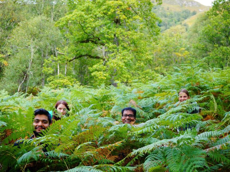 Group members hide in tall ferns, only their faces visible, large trees in the background