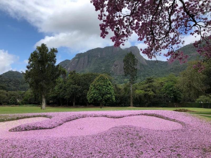 Itanhangá golf club in Rio De Janeiro