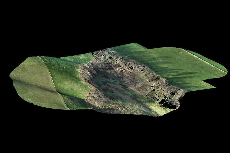 Point cloud of Dryden Farm with above-ground points removed