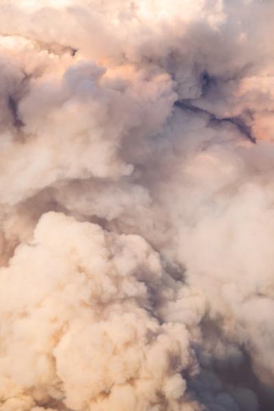 close-up textural image of a mushroom cloud