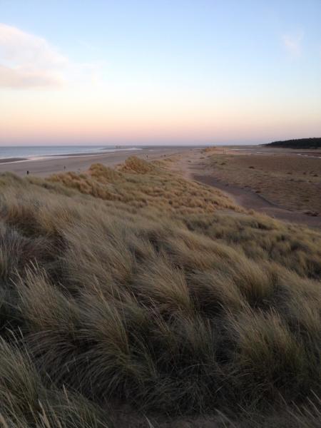 sandy beach scene