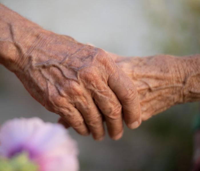 old hands holding each other