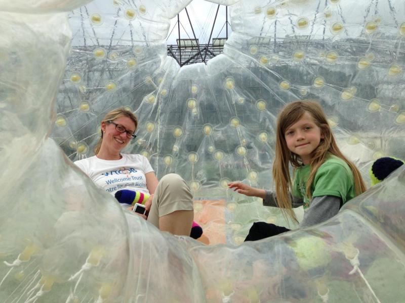 A researcher and member of the public insiide the zorb ball